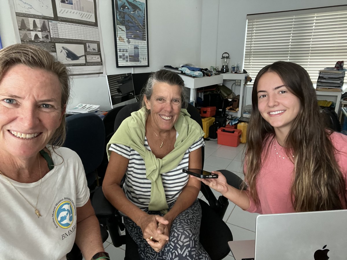Being interviewed by our BREEF BESS intern Journey about the threats to marine mammals that the proposed development in south Abaco might cause;
bnt.bs/news/kakona-de…
environmental.kakona.com