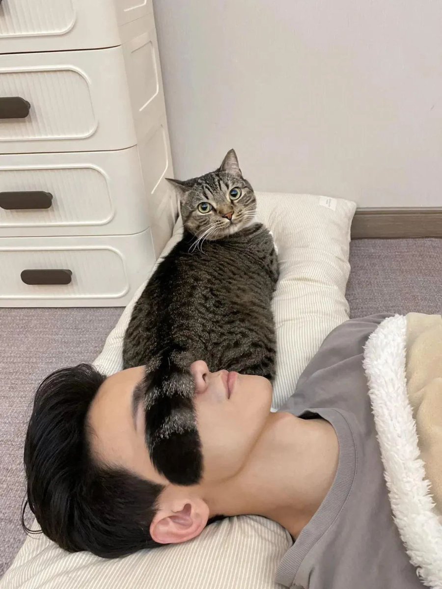 ShouldHaveCat's tweet photo. https://t.co/g4S7ouFGjS