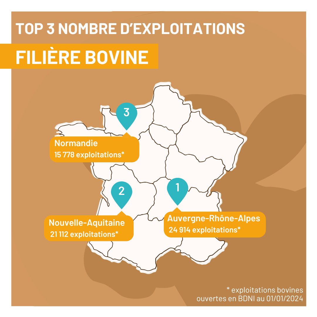 🔎 Zoom sur la filière bovine en 🇫🇷​

​➡️ Au 1er janvier 2024, la France comptait 16,8 millions de bovins enregistrés dans la base nationale d’identification (BDNI), soit une baisse de 1,2 % depuis 2023.🐄
