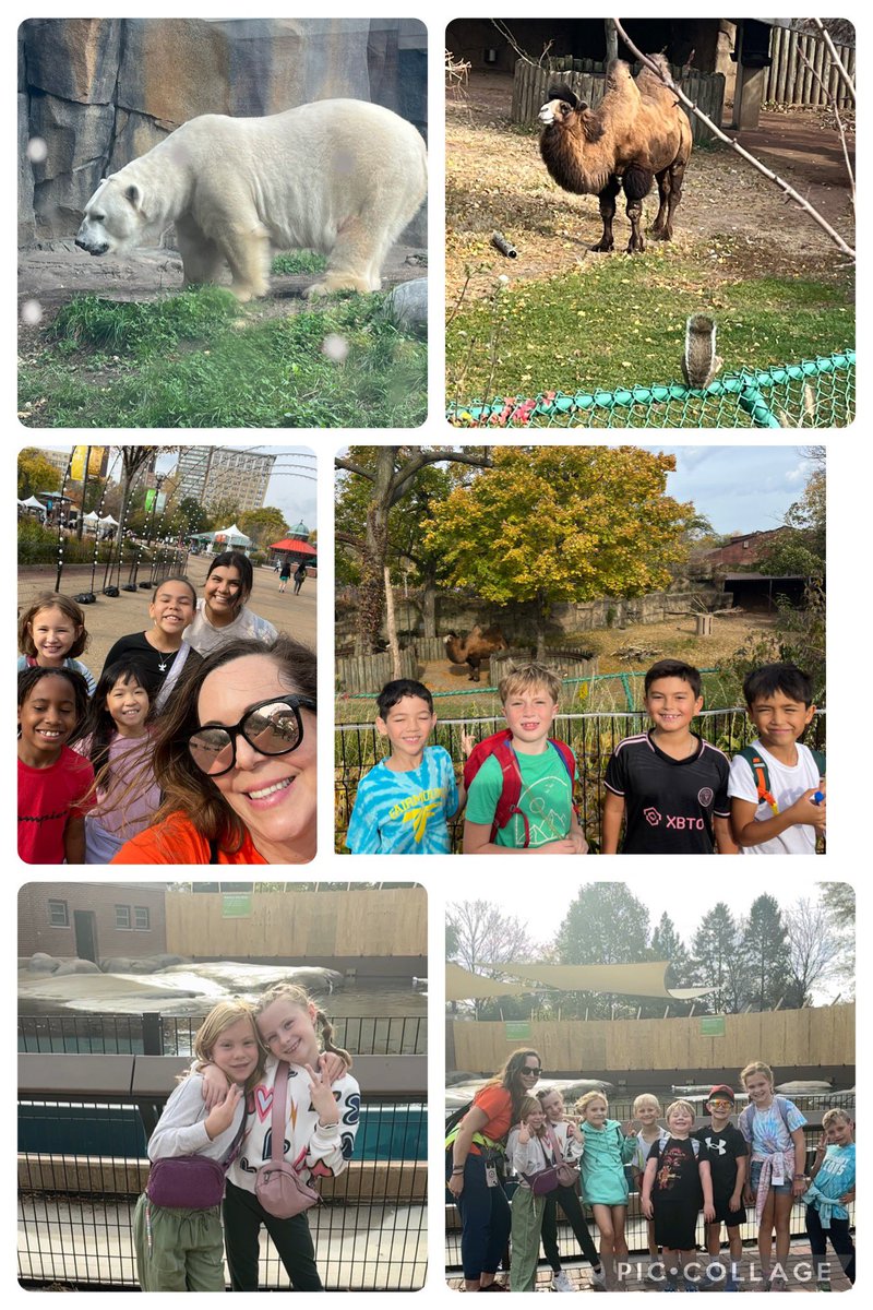 What a perfect day here at the Lincoln Park Zoo! 
Thank you to our Fairmount PTA &amp; fabulous chaperones! #fa58share #dg58pride