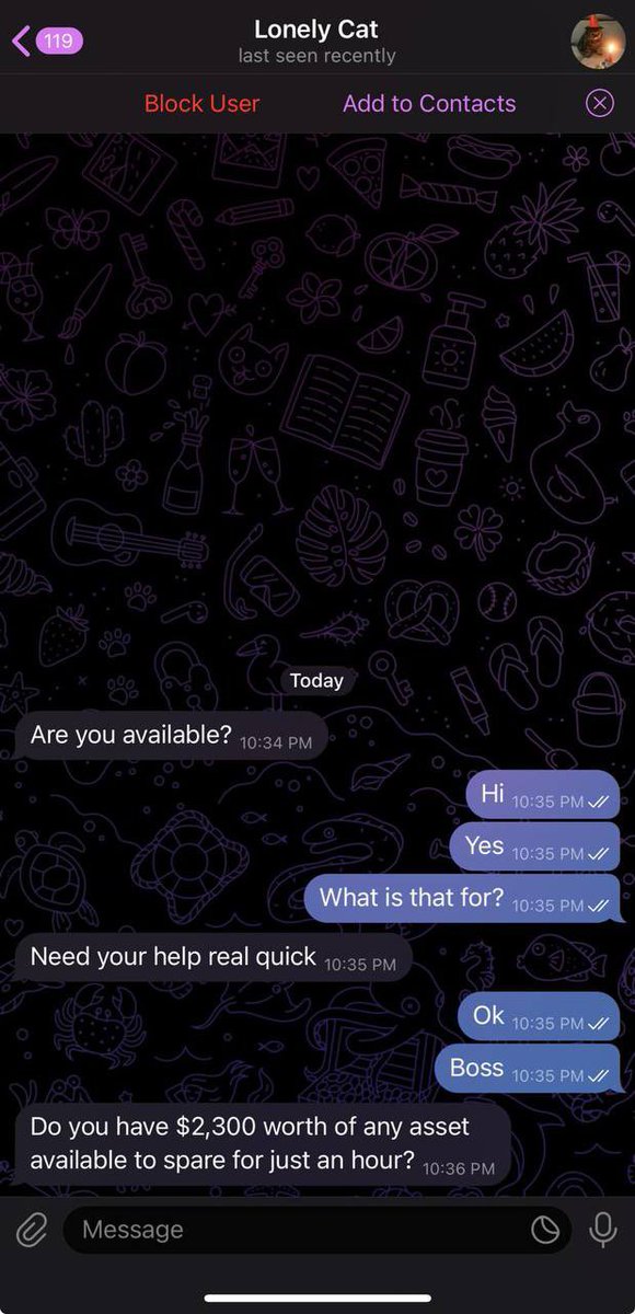 Hello guys , we noticed that there are some scammers pretending to be Lonely Cat’s team on TG. Please be aware. 
Remember our team will not DM you first.

大家好，我们注意到有一些骗子在電報冒充Lonely Cat团队。请注意。
请记住，我们的团队不会先给您发私信。