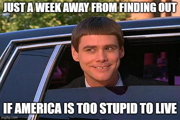 Anonymous tweet media