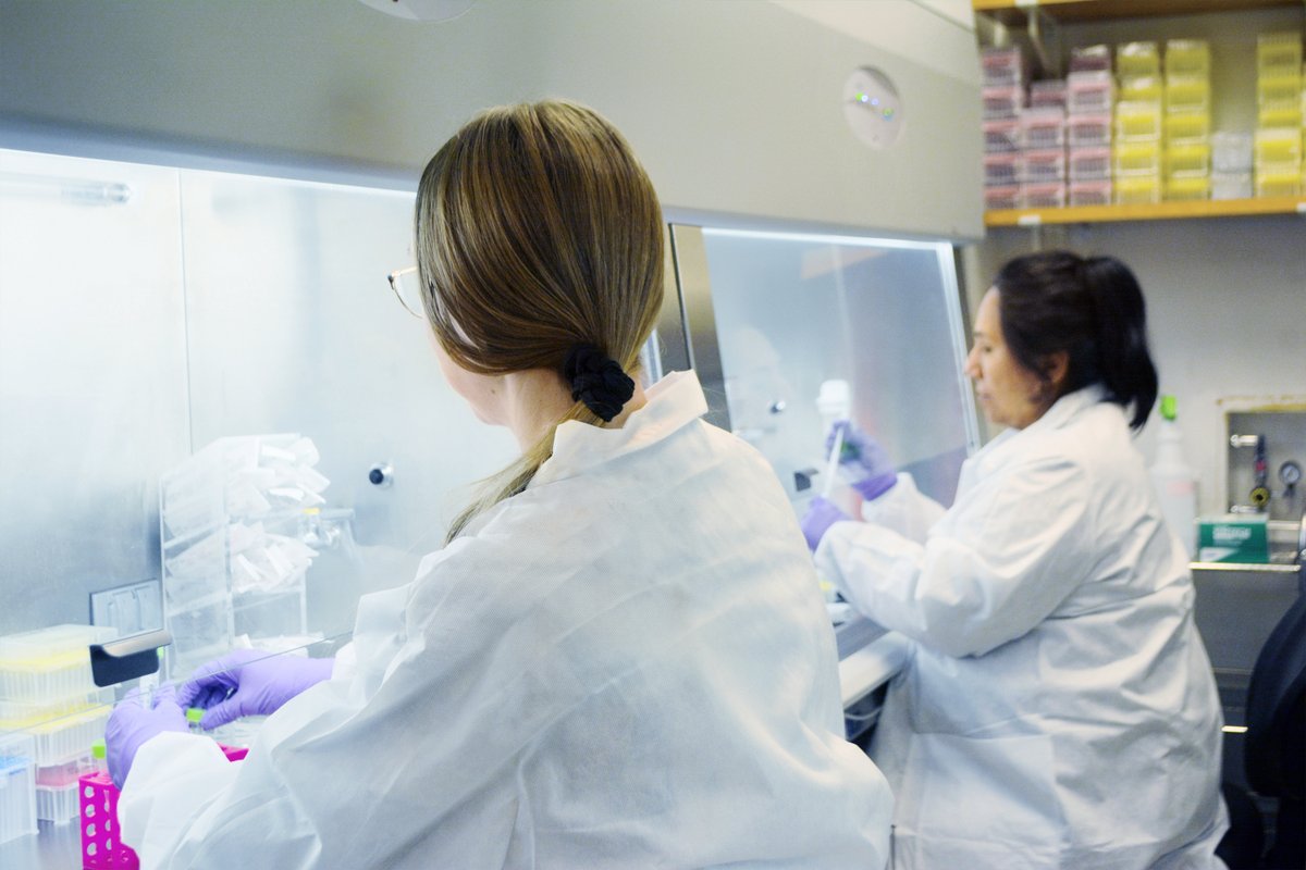 STEMCELL Technologies tweet media