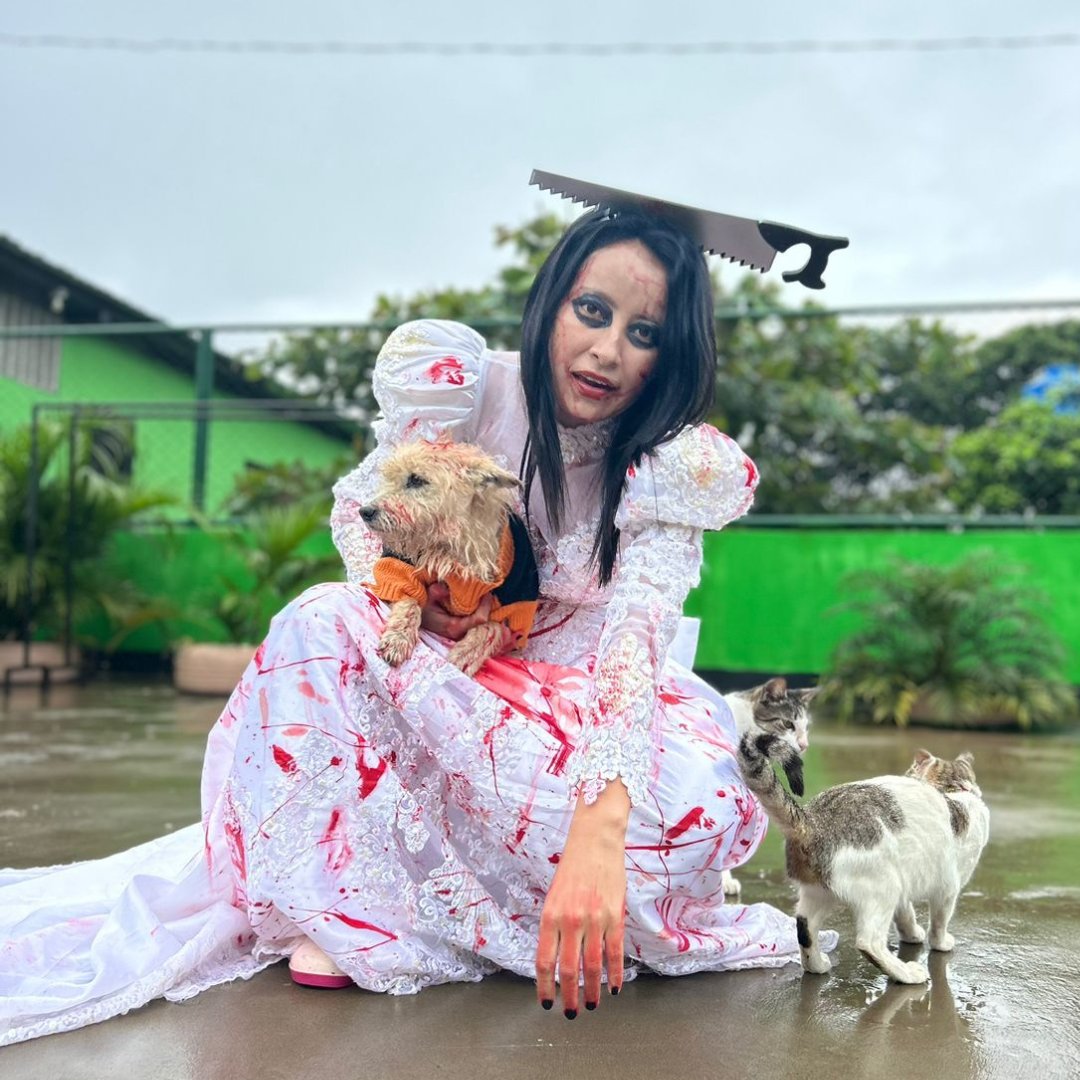 GlobalStrays's tweet image. It's spooky season for our partner shelters! Check out the spell-tacular costumes our shelter dogs dressed up as this year 🐕🎃 What is your pet dressed up as this Halloween? Comment below (and DM us pictures!) ⤵️

#globalstrays #doghalloween #animalwelfare #doglovers