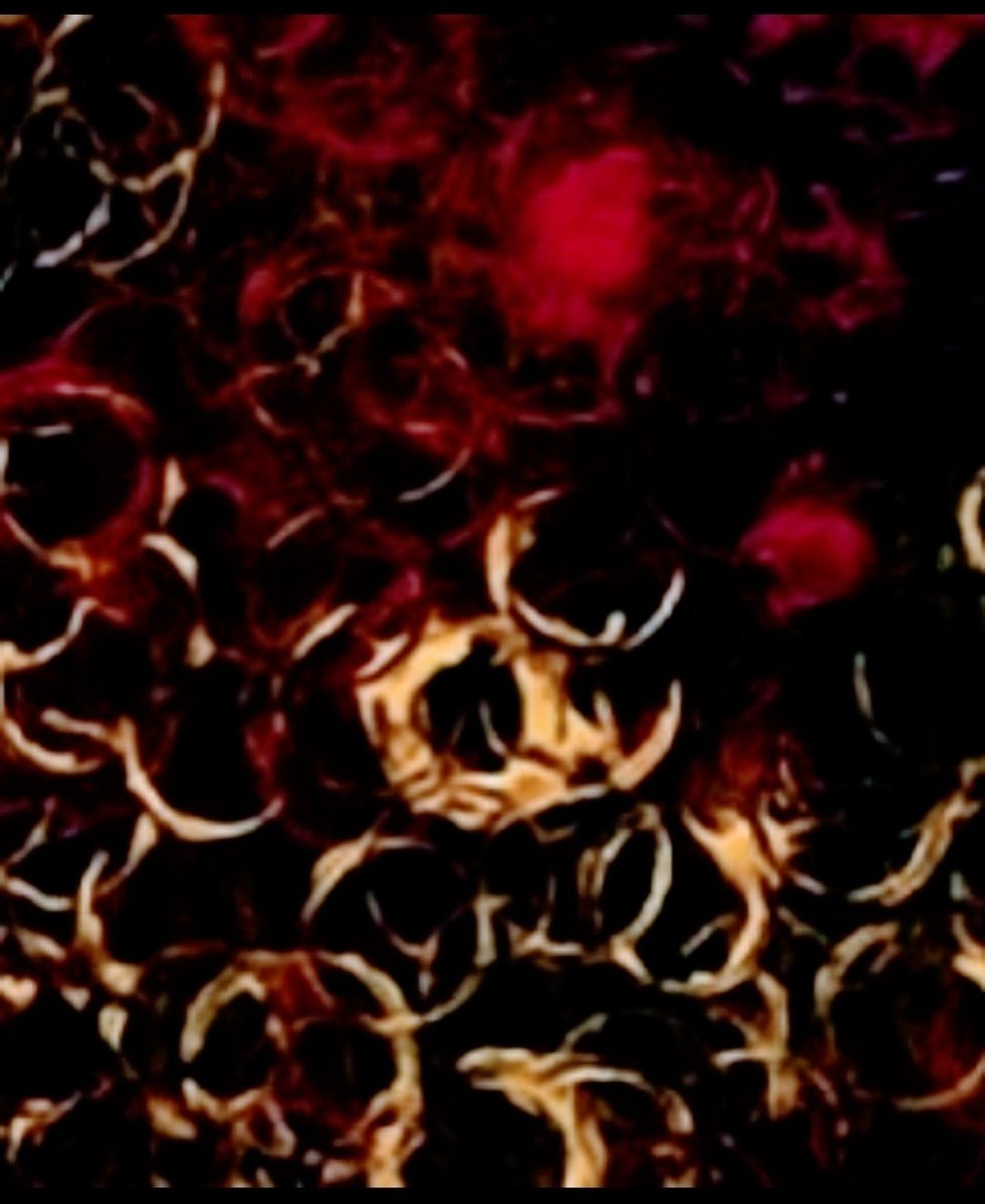 "Fire" Acrylic on canvas 60 x80
rarible.com/sladjana_art/o…
#abstractart #acrylicpainting #homedecor #hoteldesign