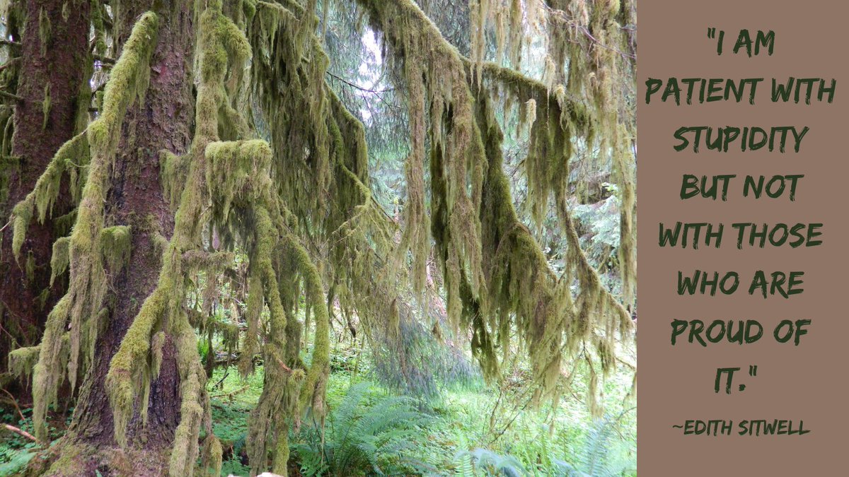 “I am patient with stupidity but not with those who are proud of it.” ~Edith Sitwell #electionday2024 #ChooseKindness #KindnessMatters amzn.to/2STbrcK