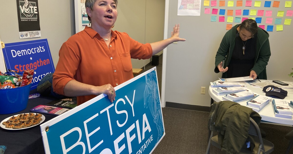 Rep. Betsy Coffia made history in 2022. Can she do it again? radio.wcmu.org/local-regional…