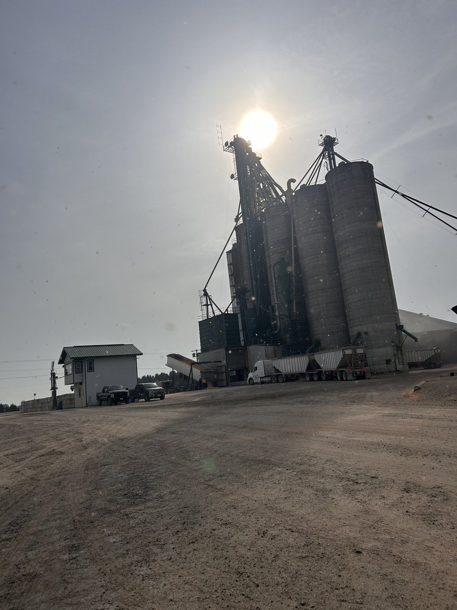 Raining red dog at Millstone today! Full day of receiving and shipping corn! 🌽