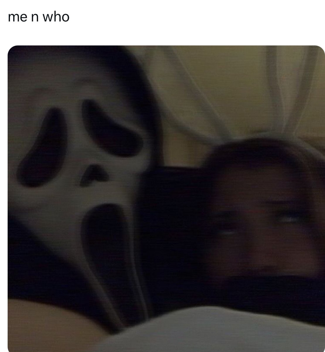 not cute & kinky memes tweet media