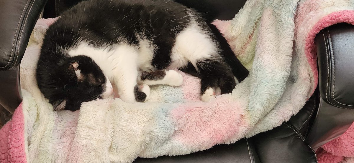 Sam Chupp Media is everywhere 💜 tweet media