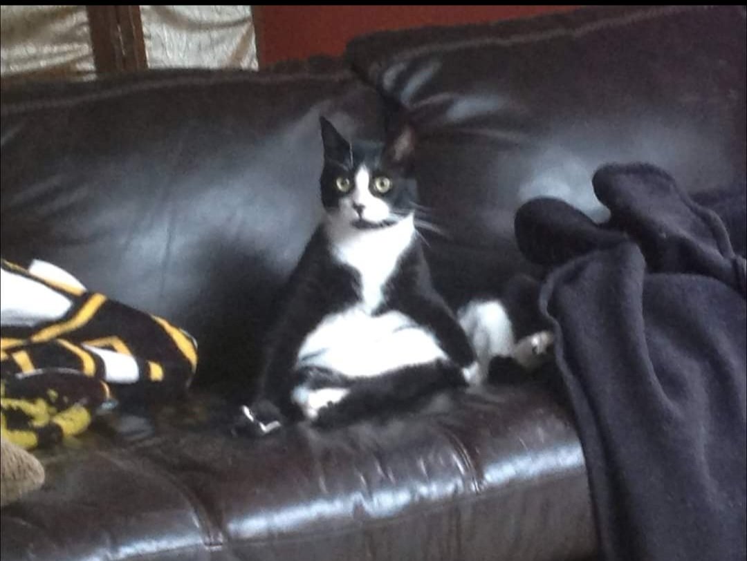 Heather 🌻🇺🇦 tweet media