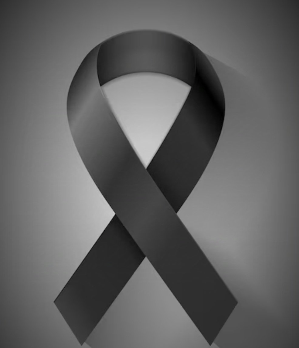 anPROFOL tweet media
