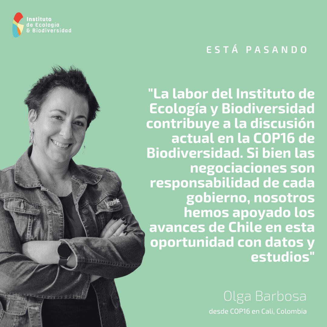 Instituto de Ecología y Biodiversidad - IEB (@iebchile) on Twitter photo 🌎🌿#COP16 | Nuestra directora alterna y líder del Programa @vccbchile <a href="/olga_barbosa/">Olga Barbosa da Silva</a> destaca el rol del #IEB en la generación de datos y estudios sobre conservación de la #biodiversidad, que han contribuido a los avances y negociaciones de Chile en esta jornada internacional. 🌎🌿#COP16 | Nuestra directora alterna y líder del Programa @vccbchile <a href="/olga_barbosa/">Olga Barbosa da Silva</a> destaca el rol del #IEB en la generación de datos y estudios sobre conservación de la #biodiversidad, que han contribuido a los avances y negociaciones de Chile en esta jornada internacional.