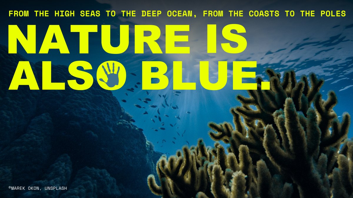 OceanFlotilla's tweet photo. The #DeepSea needs our voice at #COP16Colombia! π
Weβre reminding the world that from the deep ocean to the poles, #NatureIsAlsoBlue.ποΈ
Join us in reminding world leaders that we must #DefendTheDeep from harmful #DeepSeaMining activities and #ProtectSeamounts. #OceanLifelines https://t.co/gCEzEjwMYh
