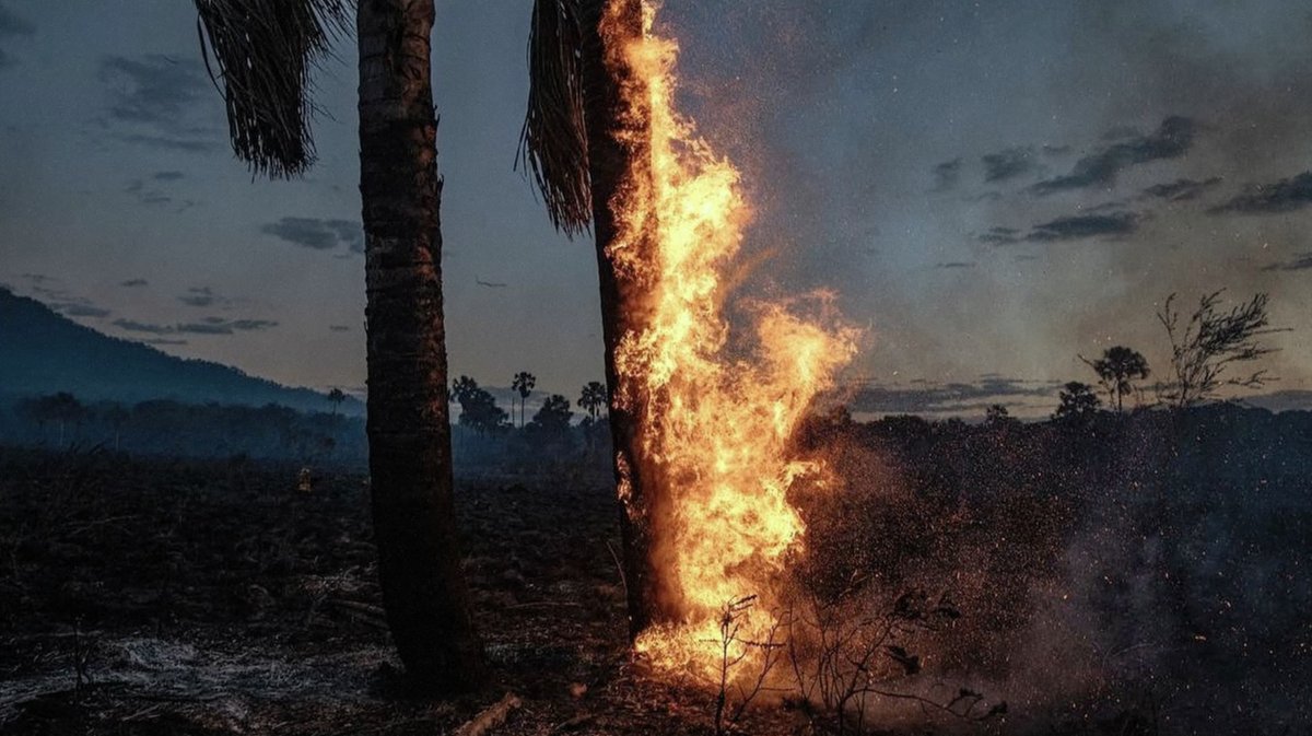 Instructions For Crying - An Interview With Writer-Director Matheus Parizi About Tragicomedy &amp; AI Therapy In His Sci-Fi Short Film 
mentalfilmness.com/2024/10/30/ins… #MentalHealthAwareness