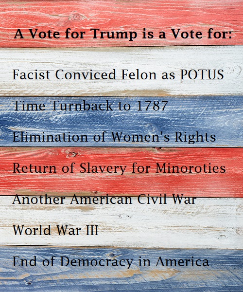 SharonKlapatch's tweet photo. IMO.   🇺🇸🇺🇸🇺🇸🇺🇸🇺🇸🇺🇸🇺🇸   Vote!!! https://t.co/fNJvGOOxsH