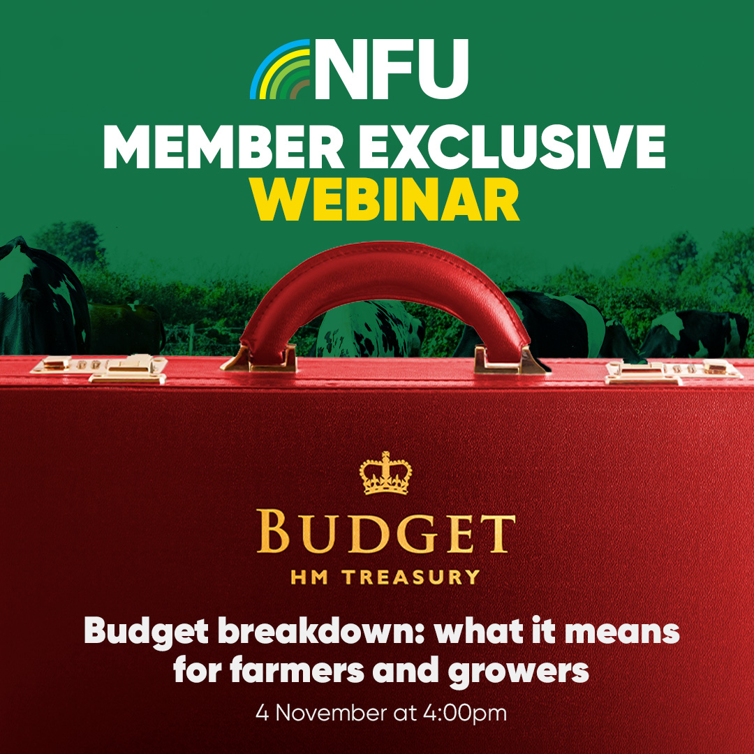 NFU members | 🚨Budget webinar 🚨

On Monday 4 Nov at 4pm, our NFU experts will be dissecting the announcement and what it means for your business at our exclusive virtual webinar. 

Register here👉ow.ly/Z7Ln50TWviT