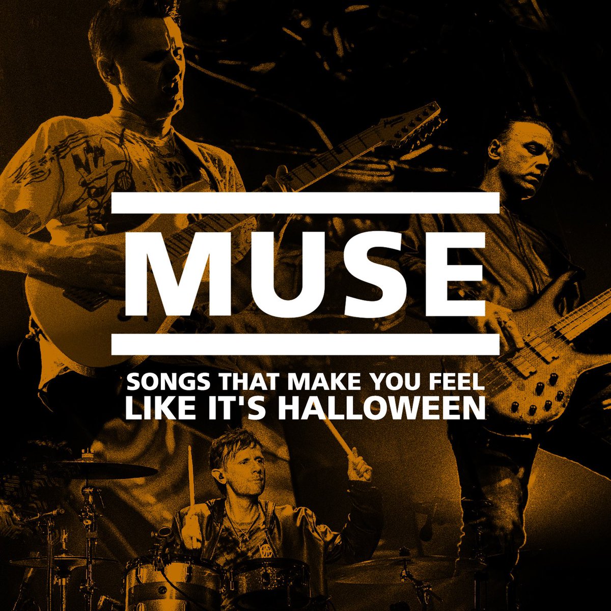 muse tweet media