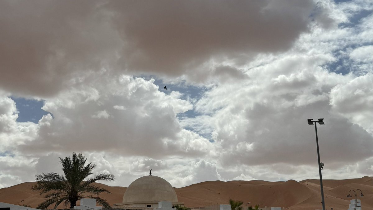 xxjjeee's tweet photo. عن حبي للغيوم و لمناظرها هُناك أبيات تعبر بشكل واضح و صريح مثل : 

يا جميلة والحياة تسوقنا عكس المبادي
كل ليل أجاري الفرصة بـ فرصة مستقيمة

حاشمك عن زلّة ٍماهي بـ ضمن إعتقادي
أرهقتني رغبة النفس ونواياي السليمة

أنتِ ارقى من الخطا .. واعز من كبوة جوادي
من نقاك ! تقول : كنّك ظاهرة من بطن غيمة "