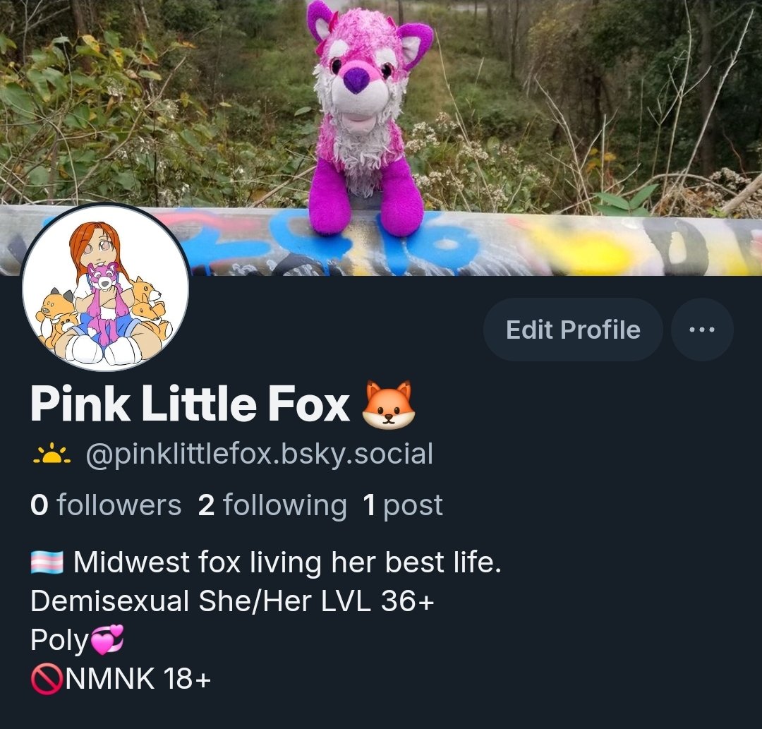 Pink Fox tweet media