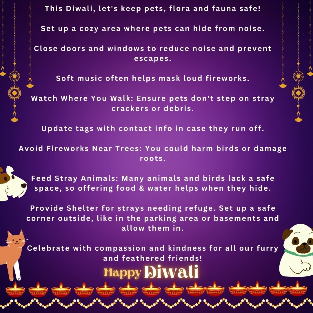 FuzzyRadhiya's tweet photo. Say No to Crackers:) 
 Spend time with your loving Pets and Let's have an environmentally friendly diwali this year 2024:)
.
.
.
#safediwali #crackersfreediwali #nocrackers #happydiwali #diwalitipsforpets https://t.co/tfb44H1sem