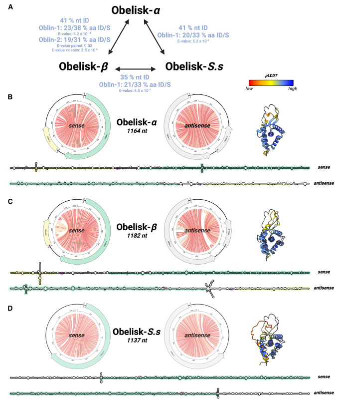 Artem Babaian tweet media