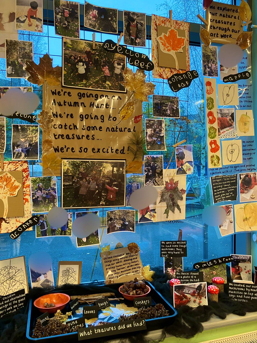 JennyPennys's tweet photo. Documentation following an autumn walk in Reception #eyfs #eyfsdisplay #eyfsclassroom https://t.co/bfJfHDVBzA