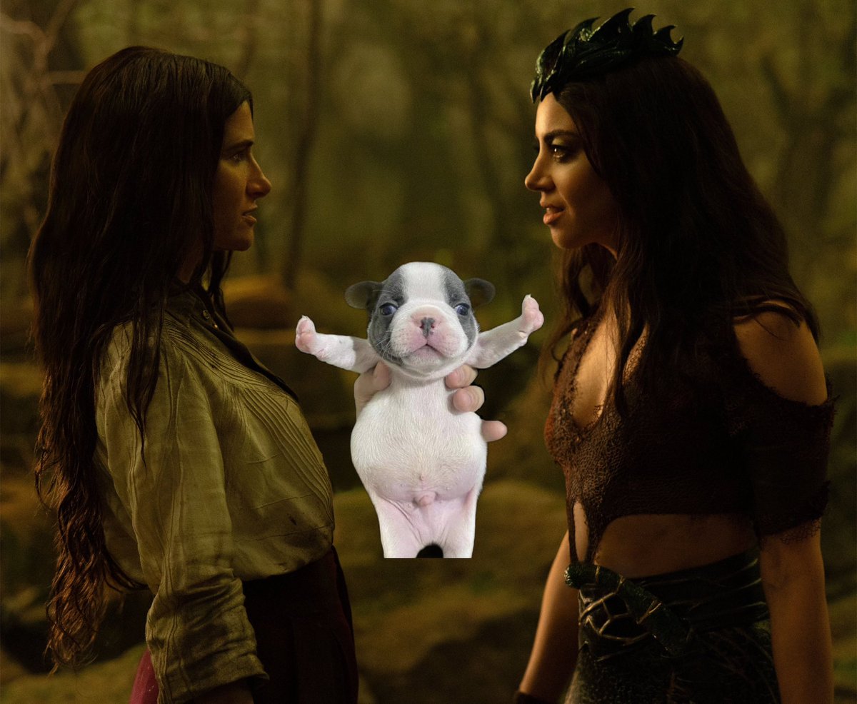 STOOOOPPPP FIGHTIIINNNGGG ‼️