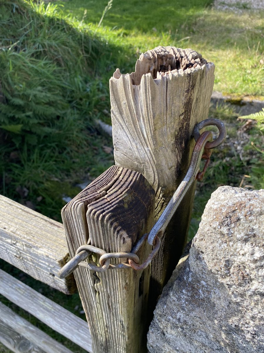 GatePostSign's tweet photo. #woodensDay https://t.co/DaXNkXCOcx