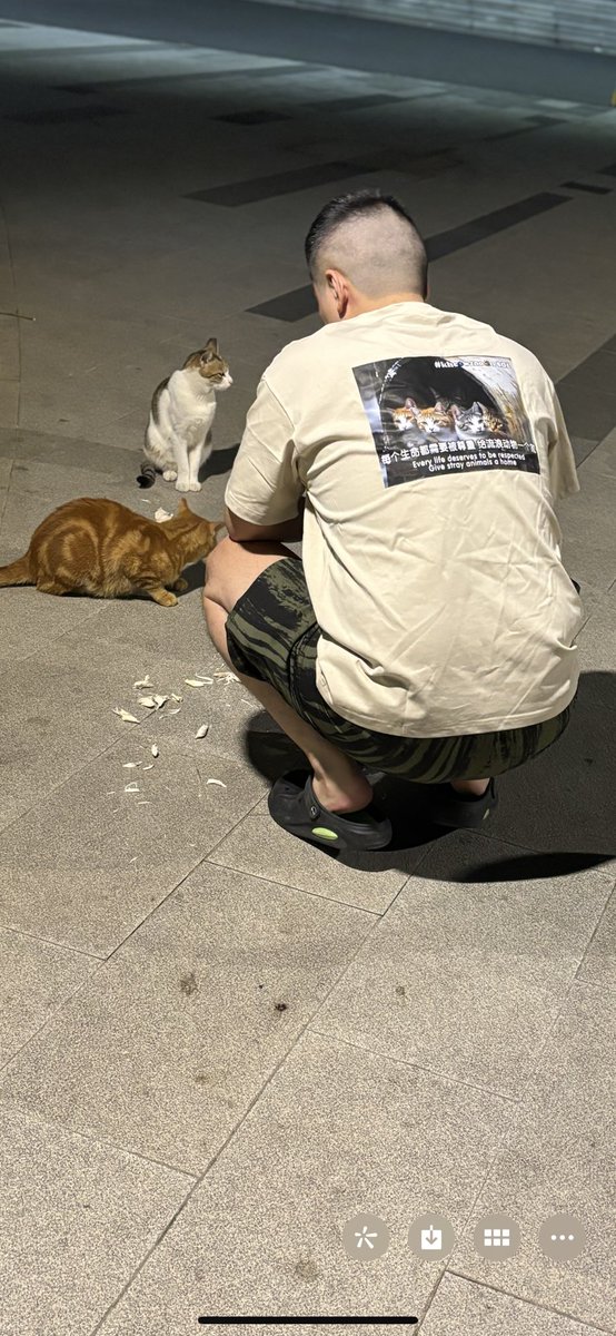 关爱流浪小动物从身边做起，慈善从来不是说说而已
#kheowzoo

<a href="/kheowzooFROMSOL/">kheowzooFROMSOL</a> @kheowzooSOL