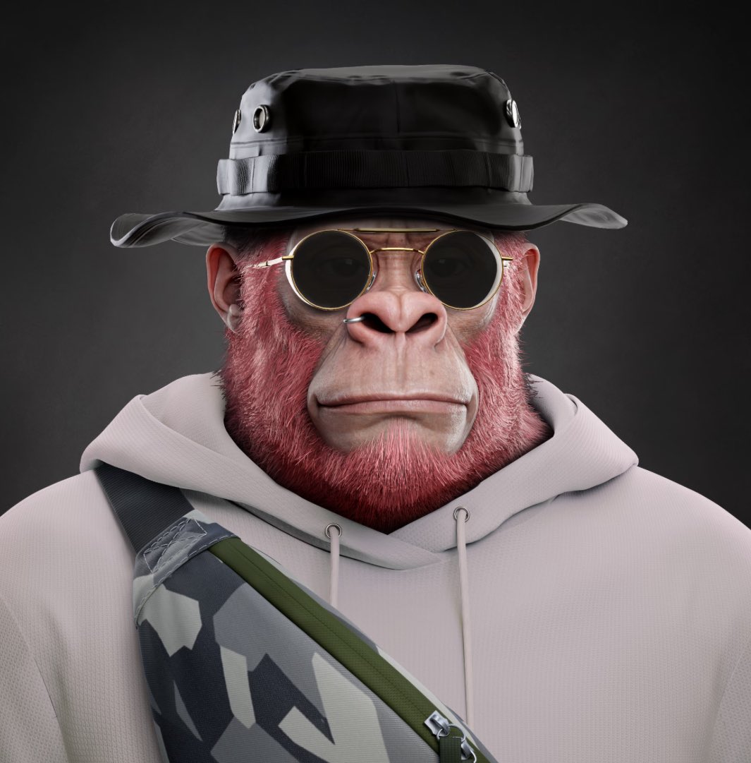 TheKongJordan tweet media