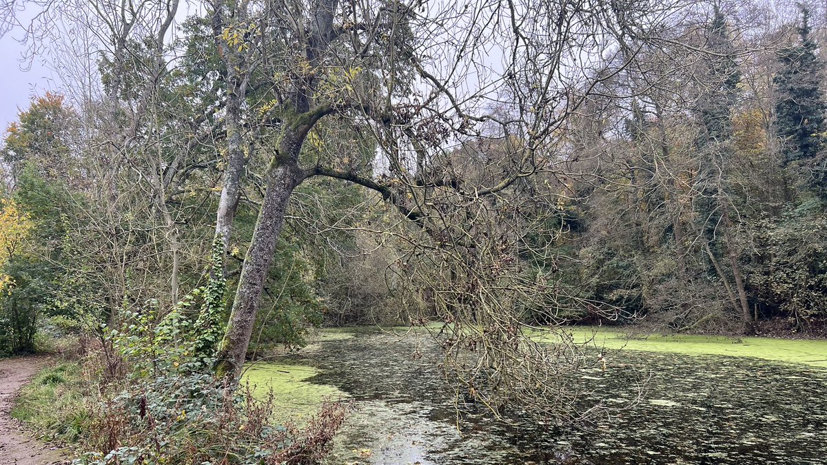 Ross Mackenzie tweet media