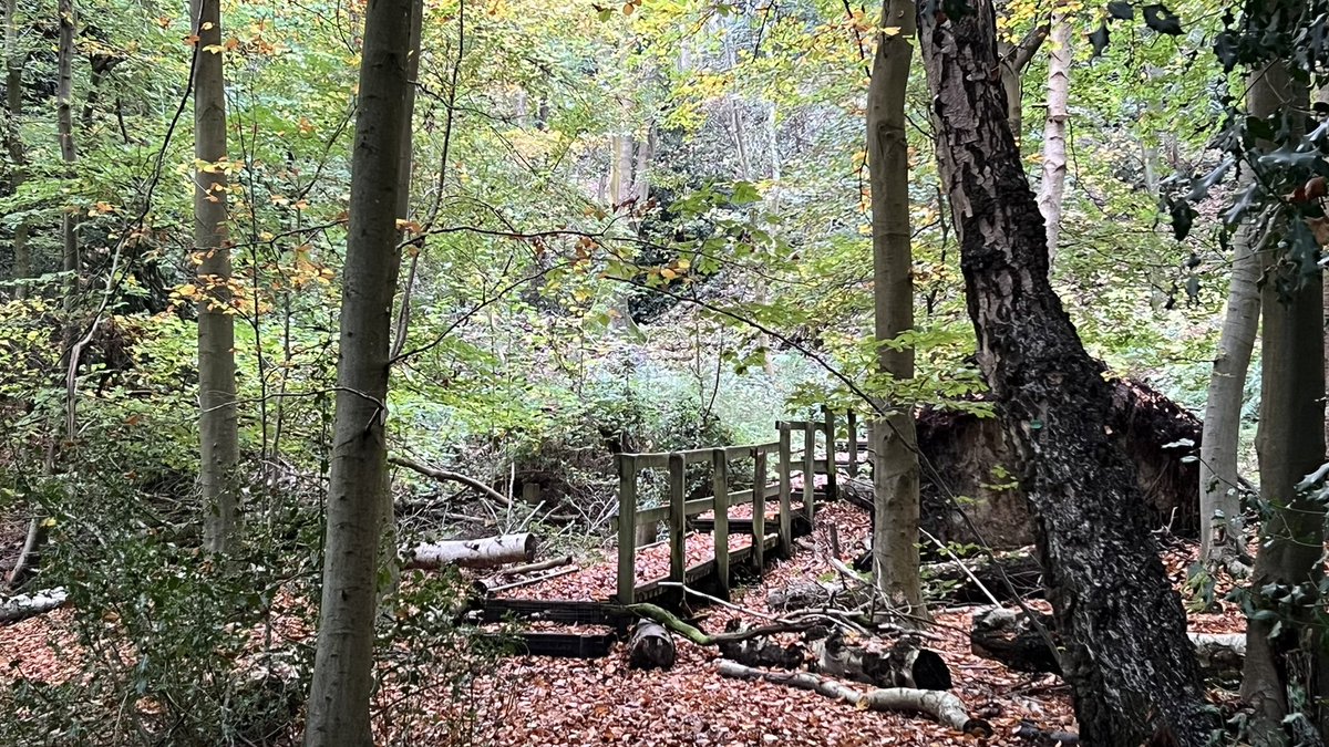 Ross Mackenzie tweet media