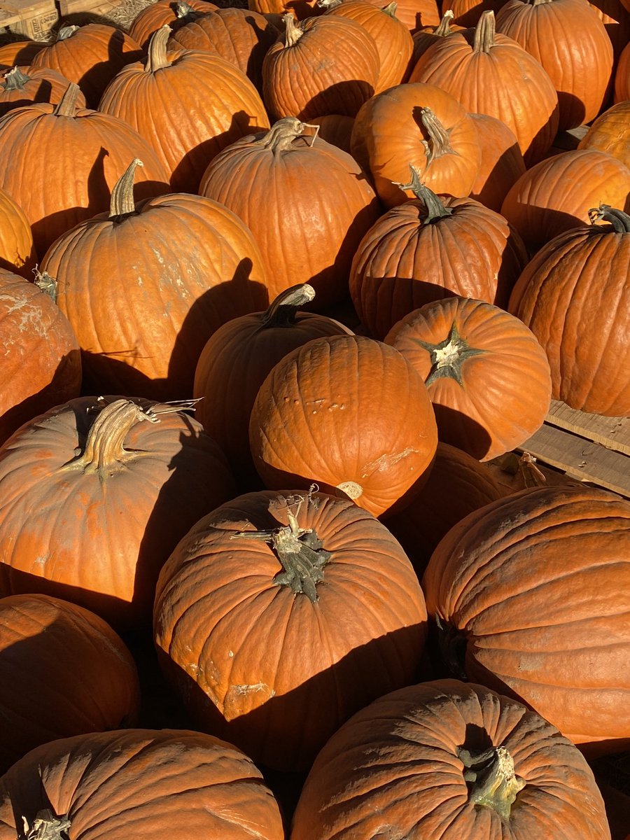 MusicDoesntStop's tweet photo. I’m on the air today at 4 pm • tune in 📻
🍂🎃
#TheMusicNeverStopped
#wpkn
https://t.co/NDg5T9xDud https://t.co/FLsjERzmM7