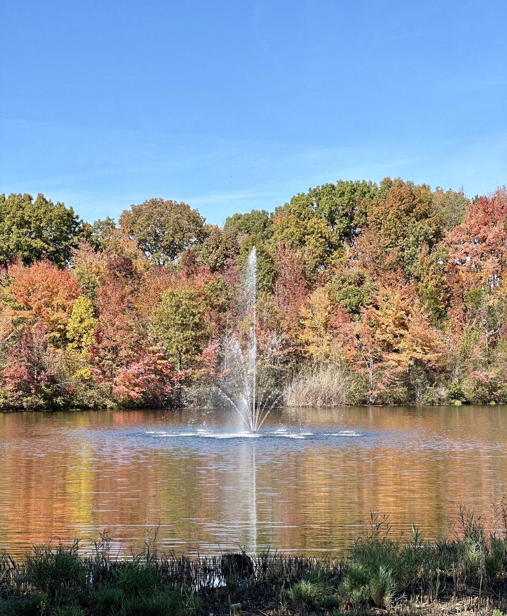 Just another perfect fall day on the Woodbridge Campus.