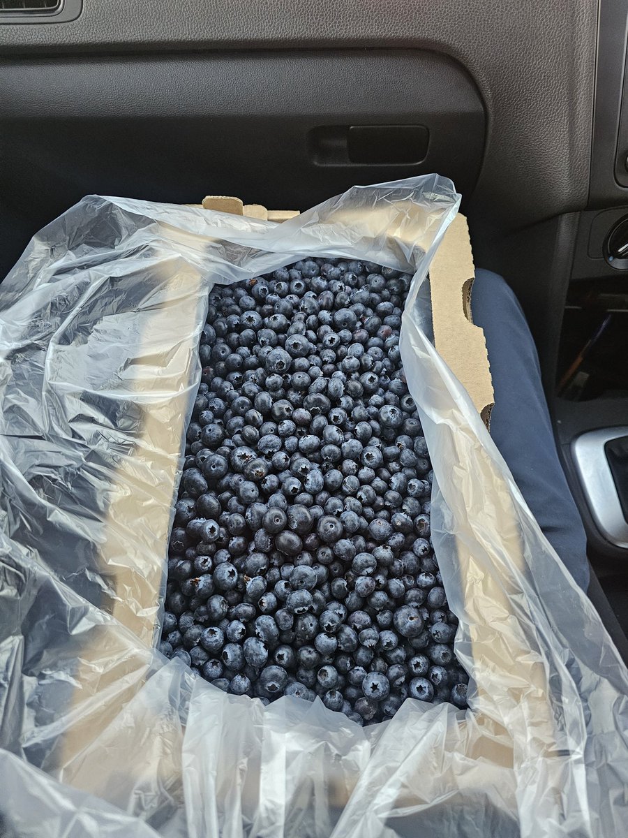 Thendo Muloiwa tweet media