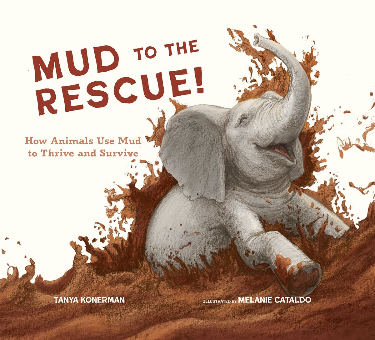 Web of Life Children's Books (@weboflifebooks) on Twitter photo We are so pleased to share the cover for MUD TO THE RESCUE! HOW ANIMALS USE MUD TO THRIVE AND SURVIVE by debut author Tanya Konerman, illustrated by Melanie Cataldo! Pub Date: May 20, 2025! @TanyaKonerman <a href="/GreatDogLit/">Great Dog Literary</a> We are so pleased to share the cover for MUD TO THE RESCUE! HOW ANIMALS USE MUD TO THRIVE AND SURVIVE by debut author Tanya Konerman, illustrated by Melanie Cataldo! Pub Date: May 20, 2025! @TanyaKonerman <a href="/GreatDogLit/">Great Dog Literary</a>