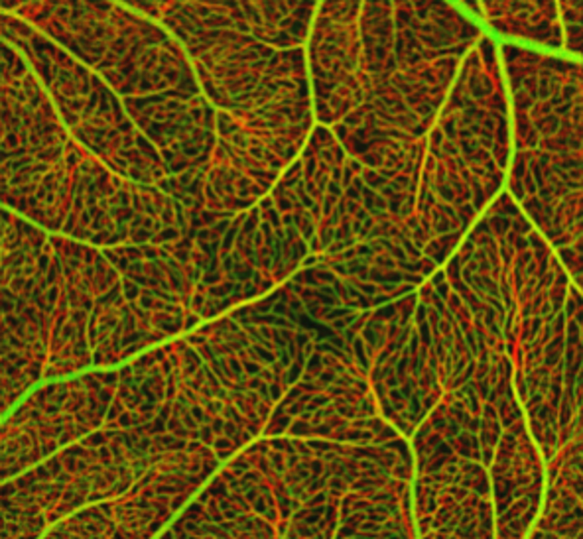 AOIP Lab tweet media