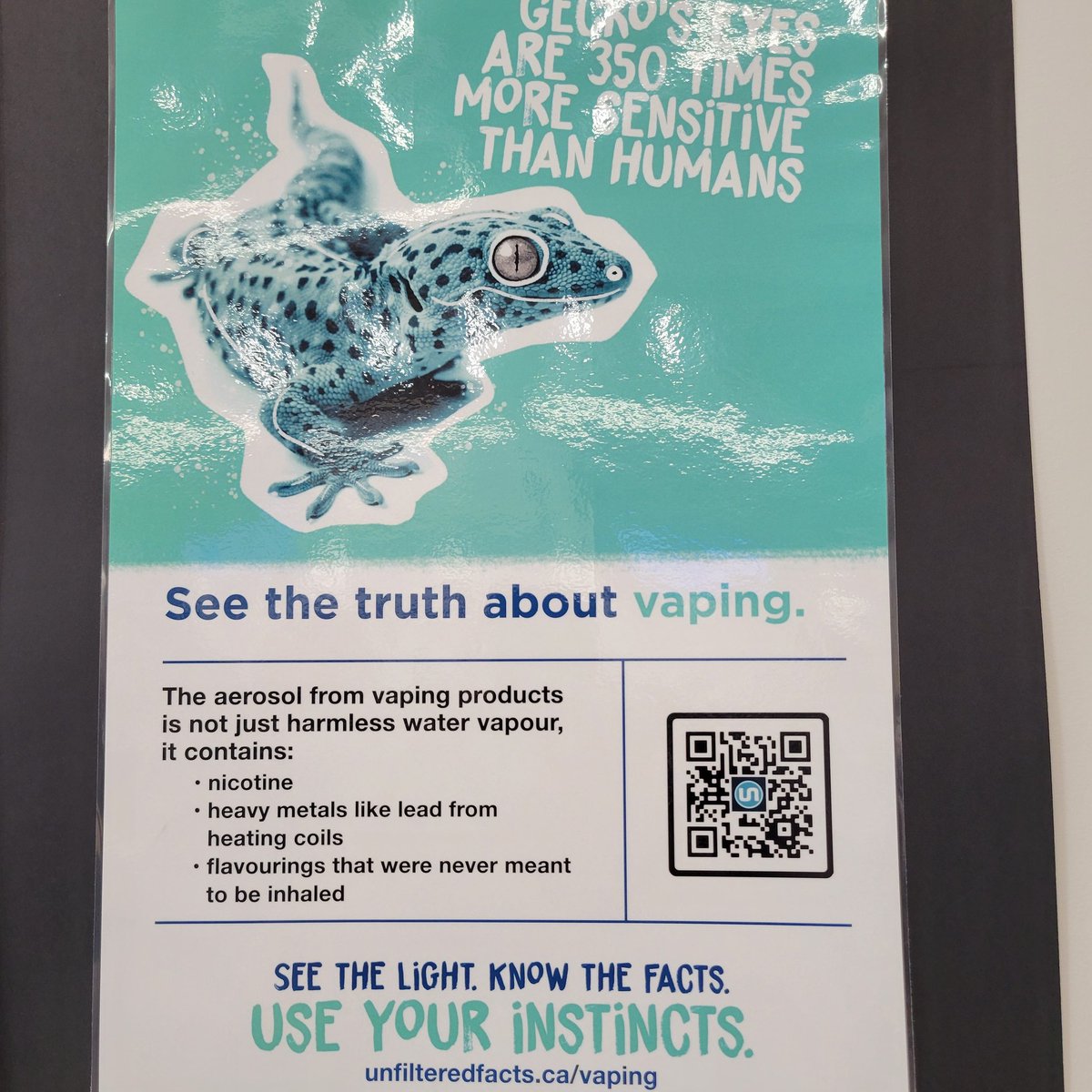 WCDSBhpe (@wcdsbhpe) on Twitter photo 86 secondary students & staff working on peer-to-peer learning rooted in mental health, cannabis & vaping education with our Safe Schools Ambassador program. Thanks to our amazing partners <a href="/ROWPublicHealth/">Region of Waterloo Public Health</a> for supporting this opportunity! <a href="/WaterlooCDSB/">Waterloo Catholic DSB</a> <a href="/WCDSBLearns/">WCDSBLearns</a> <a href="/WCDSBwellness/">@WCDSBWellness</a> 86 secondary students & staff working on peer-to-peer learning rooted in mental health, cannabis & vaping education with our Safe Schools Ambassador program. Thanks to our amazing partners <a href="/ROWPublicHealth/">Region of Waterloo Public Health</a> for supporting this opportunity! <a href="/WaterlooCDSB/">Waterloo Catholic DSB</a> <a href="/WCDSBLearns/">WCDSBLearns</a> <a href="/WCDSBwellness/">@WCDSBWellness</a>