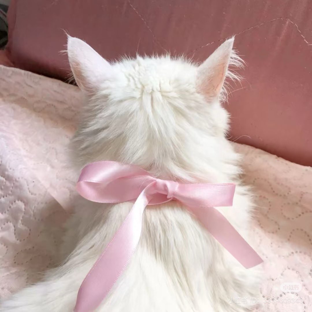 𓈒 ࣪ ˖ (@heartzjpg) on Twitter photo 