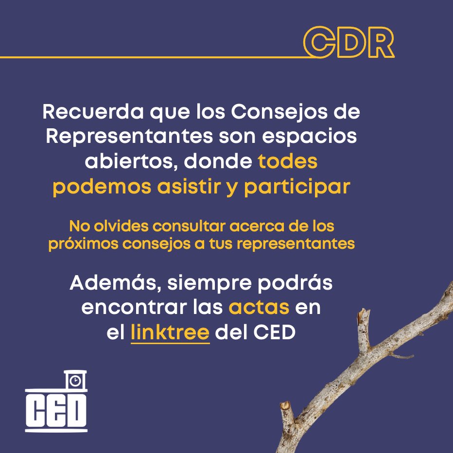 ced_uchile's tweet photo. ¡Novedades del primer Consejo de Representantes de nuestro periodo! https://t.co/NLXLqApusQ