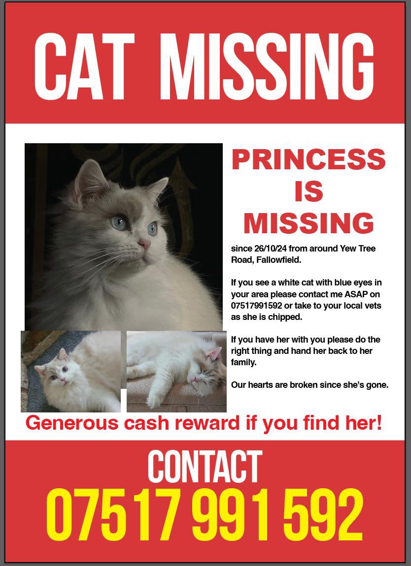 KittyJijiMoon's tweet photo. My friends asked to share this; this is in Manchester. Please share if you can and please call the number if you spot her. Thanks. https://t.co/TpWjQXCyTR