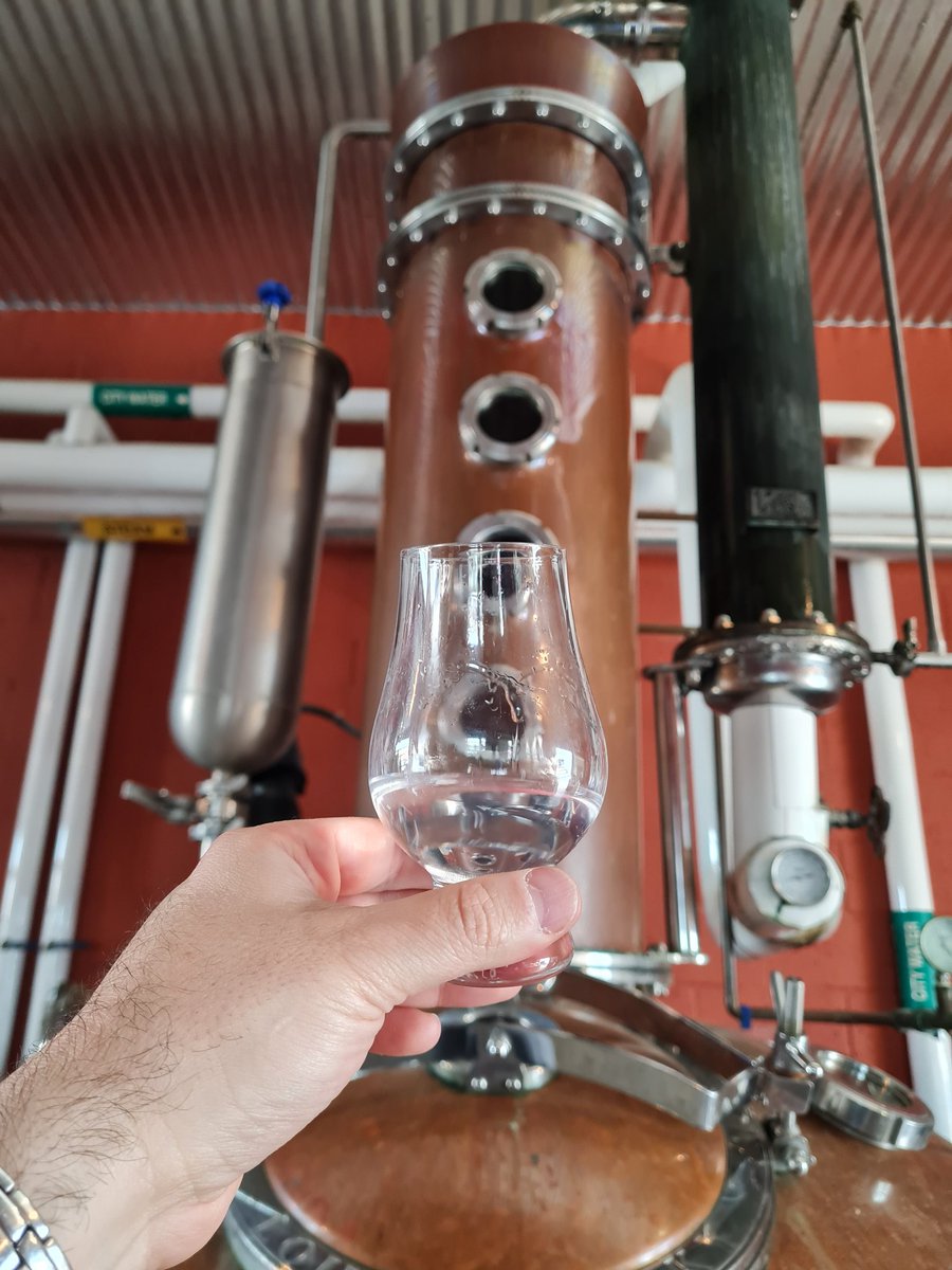 Perro Loco tweet media