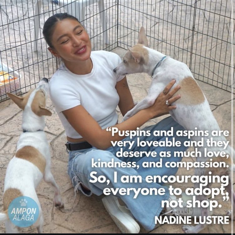 peanutbuttercup's tweet photo. Happiest birthday to President Nadine Lustre! 🥰 Loved you first in #OnTheWingsofLove (still the best Filipino drama for me), then I was amazed as you went on to become a serious actress, picking up one acting trophy after another. Your music has also become a staple of Filipino https://t.co/UEimfJQvLX
