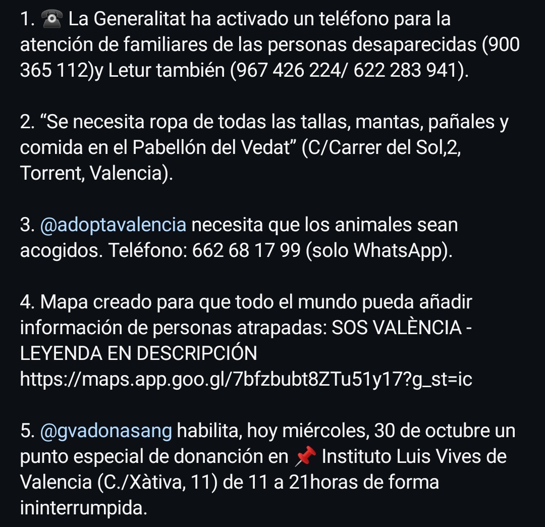 celia🦔 tweet media