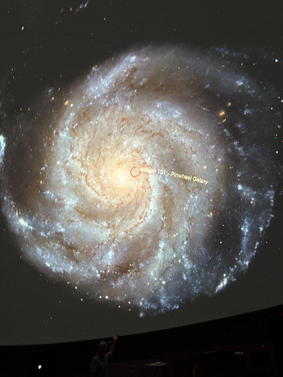 Sara Chiaverotti tweet media