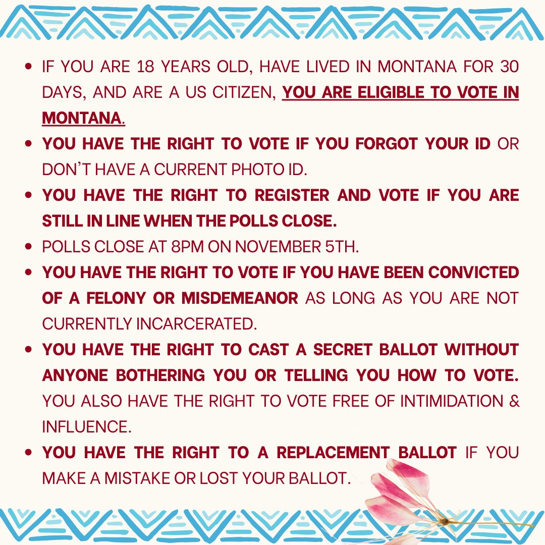 The Montana Supreme Court recently upheld voting rights for Native communities, safeguarding access in rural areas and reservations where Indigenous voters have faced challenges for years. With Election Day near, remember: your vote is your voice, your right, your power.