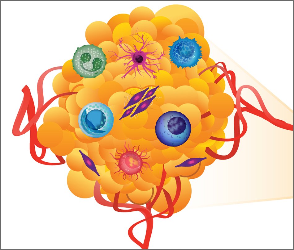 National Cancer Institute (@thenci) on Twitter photo PRESS RELEASE: New insights from 10 Human Tumor Atlas Network studies provide critical information on how cancer tumors develop, spread, and respond to treatments. The research is to be published tomorrow in <a href="/NatureCancer/">Nature Cancer</a>. Learn more: go.nih.gov/YN70LjH #CancerMoonshot #HTAN PRESS RELEASE: New insights from 10 Human Tumor Atlas Network studies provide critical information on how cancer tumors develop, spread, and respond to treatments. The research is to be published tomorrow in <a href="/NatureCancer/">Nature Cancer</a>. Learn more: go.nih.gov/YN70LjH #CancerMoonshot #HTAN
