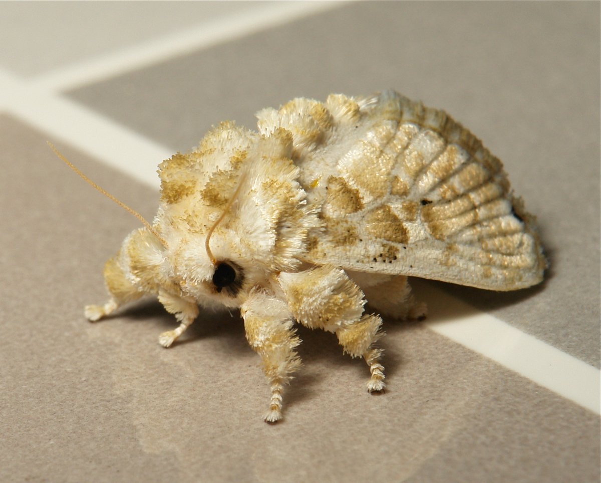 John Horstman tweet media