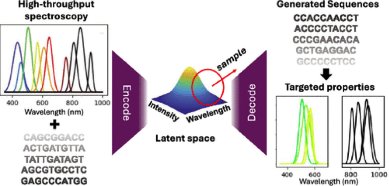 Multi-Objective Design of DNA Nanoclusters findings published.
#DNA -stabilized silver nanoclusters (AgN-DNAs) exhibit sequence-dependent compositions &amp; fluorescence colors. High-throughput experiments w/supervised #machine_learning  learning ..
pubs.acs.org/doi/10.1021/ac…